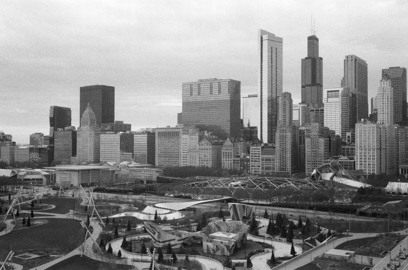 The Rabbi + The Wolf Bird A “Roll The Bones” story about a divided America and Heated Rivalry.