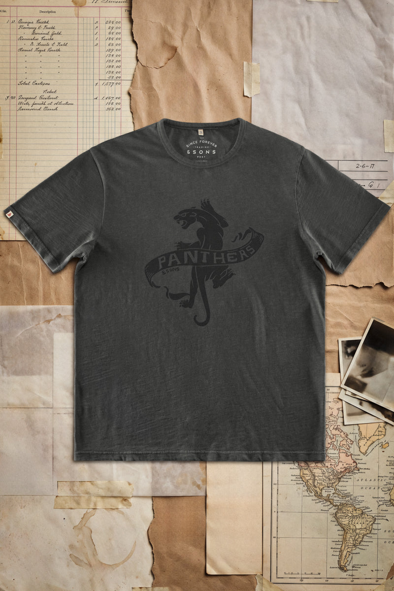 Panthers Slub T-Shirt Black Fade | Mens T-Shirt | &SONS